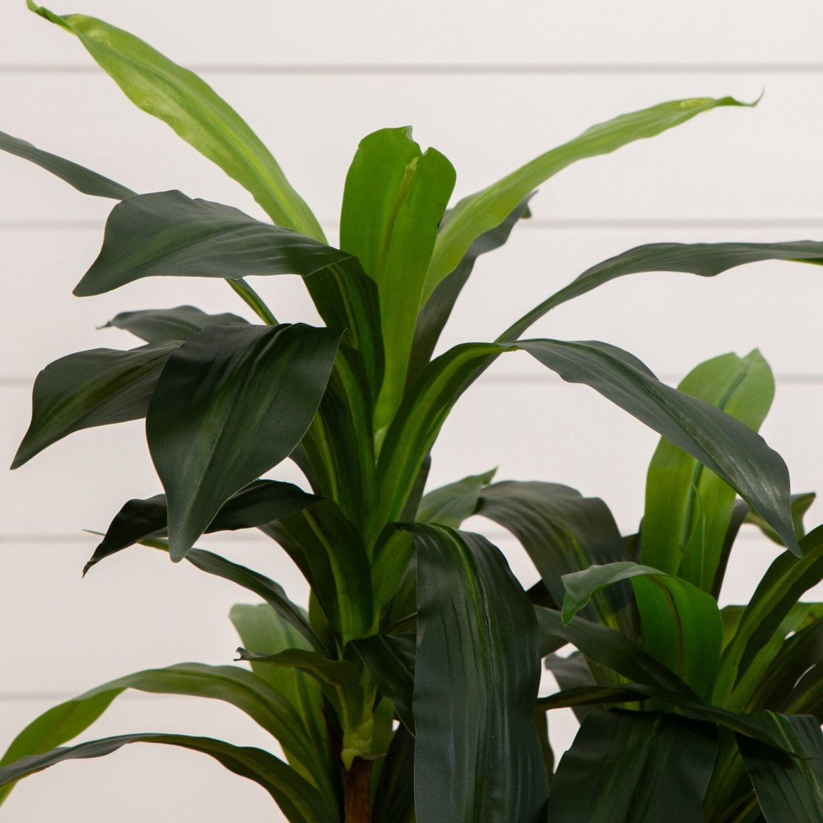  48-in Dracaena Silk Plant (Real Touch)