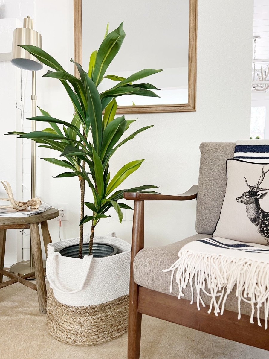  48-in Dracaena Silk Plant (Real Touch)