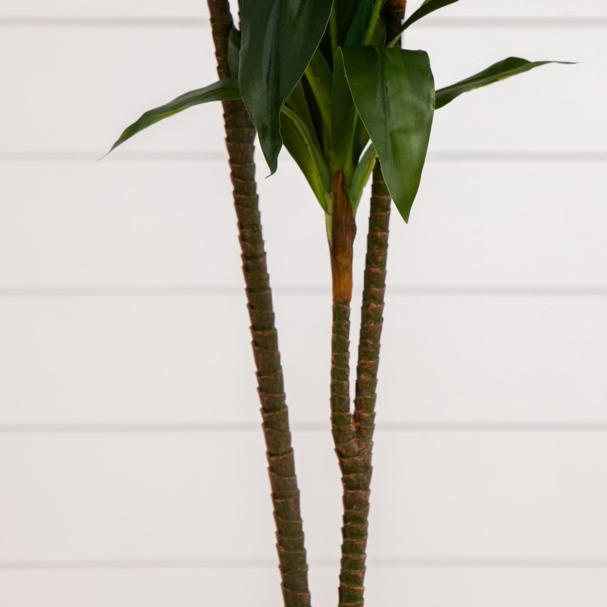  48-in Dracaena Silk Plant (Real Touch)
