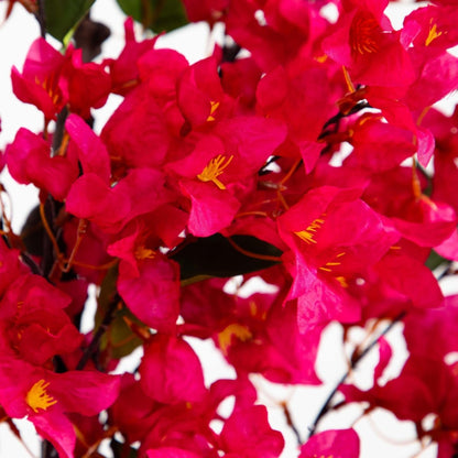  5-ft Bougainvillea Artificial Tree | Vibrant & Lifelike Floral Décor