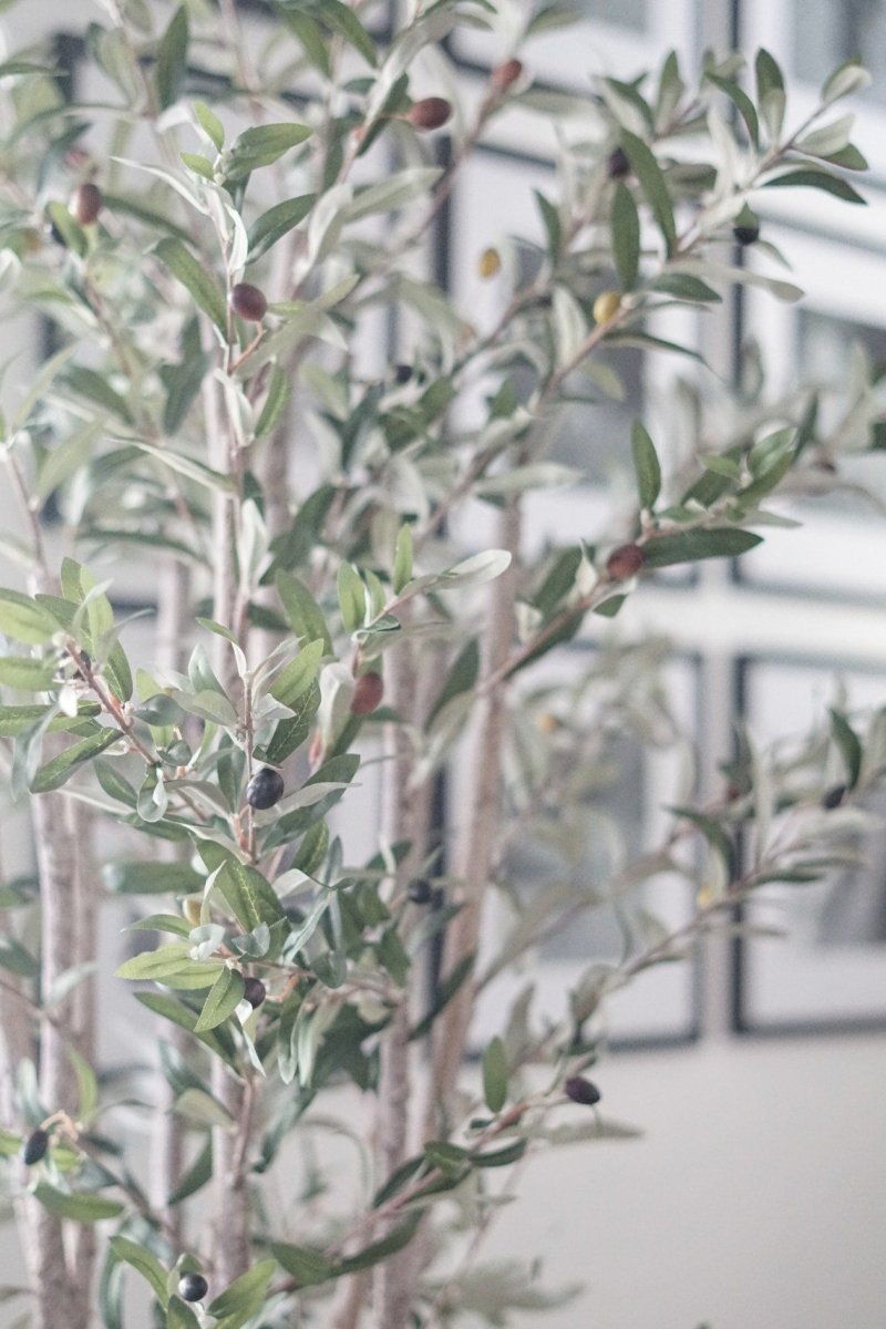  5-ft Mediterranean Olive Silk Tree – Lifelike Faux Foliage In Nursery Planter