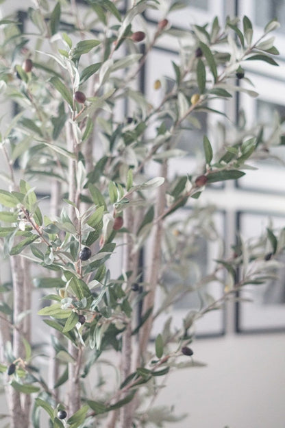  5-ft Mediterranean Olive Silk Tree – Lifelike Faux Foliage In Nursery Planter