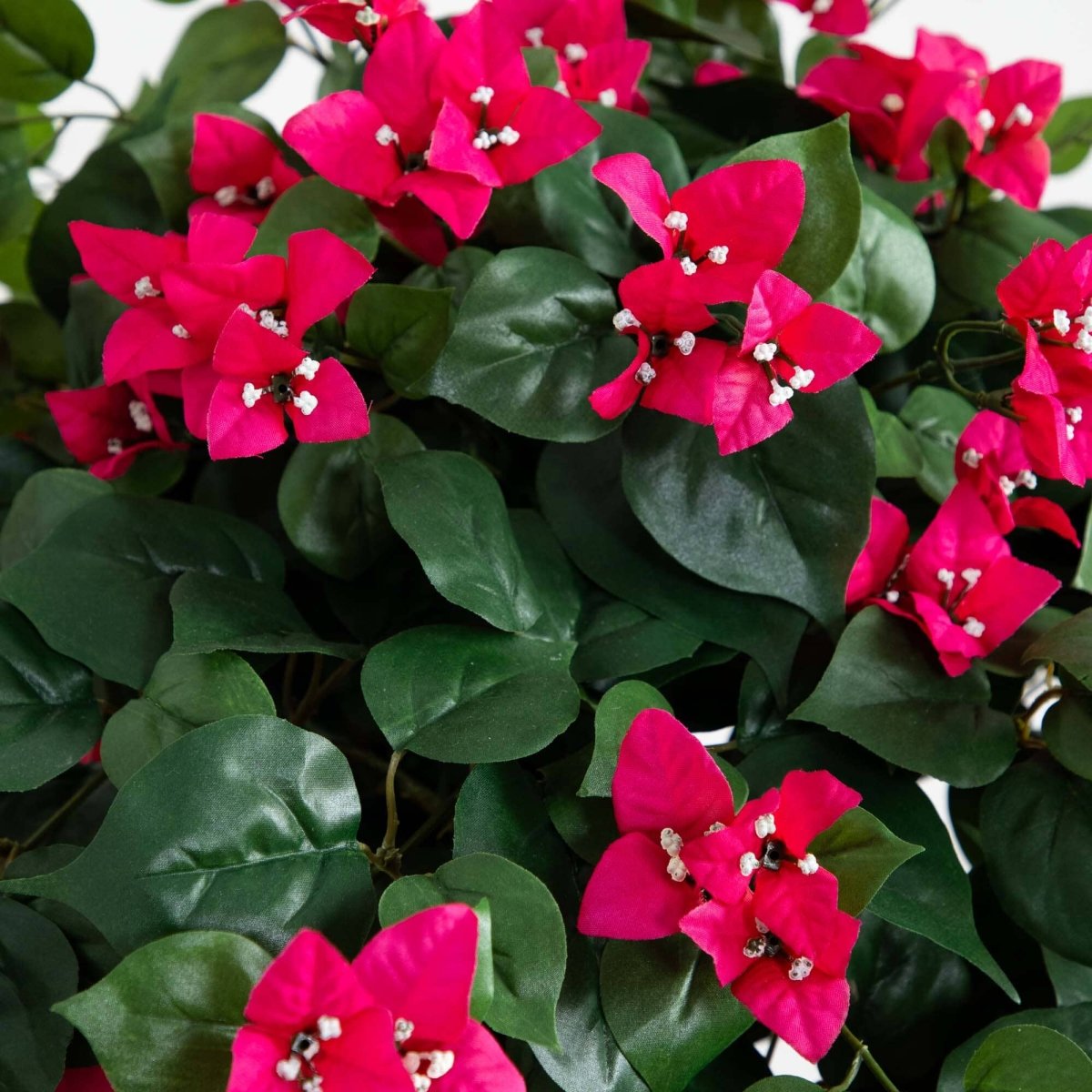  5-ft Mini Bougainvillea Topiary | Elegant Faux Floral Décor