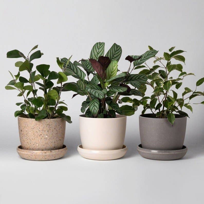  5” Upcycled Mini Planter And Saucer – Earth-Friendly Design