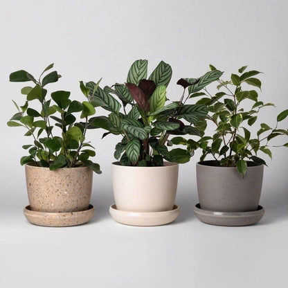 5” Upcycled Mini Planter And Saucer – Earth-Friendly Design