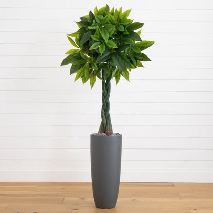  5.5-ft Artificial Money Tree In Gray Cylinder Planter (Real Touch)