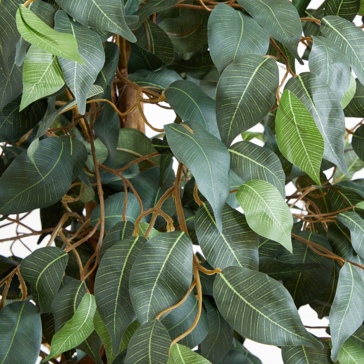  6-ft Silk Ficus Tree – Lifelike Polyester Indoor Artificial Tree