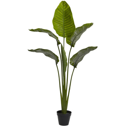  64-in Travelers Palm Tree – UV Resistant (Indoor/Outdoor)