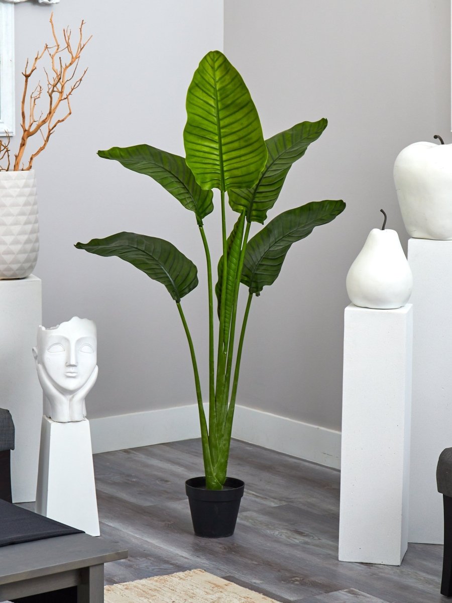  64-in Travelers Palm Tree – UV Resistant (Indoor/Outdoor)