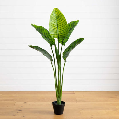 64-in Travelers Palm Tree – UV Resistant (Indoor/Outdoor)