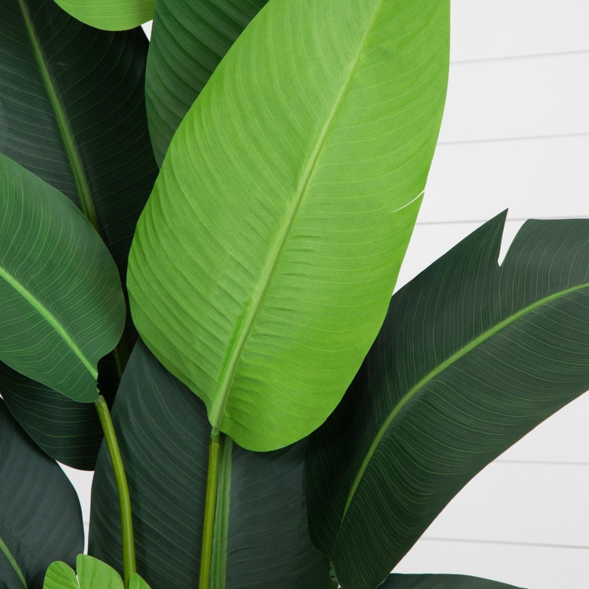  7-ft DIY Traveler’s Palm Artificial Tree Kit In Woven Planter