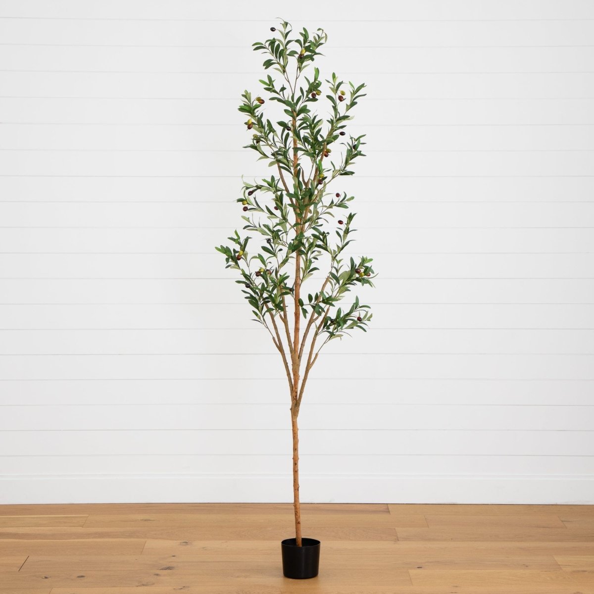  7-ft Artificial Olive Tree With Natural Trunk