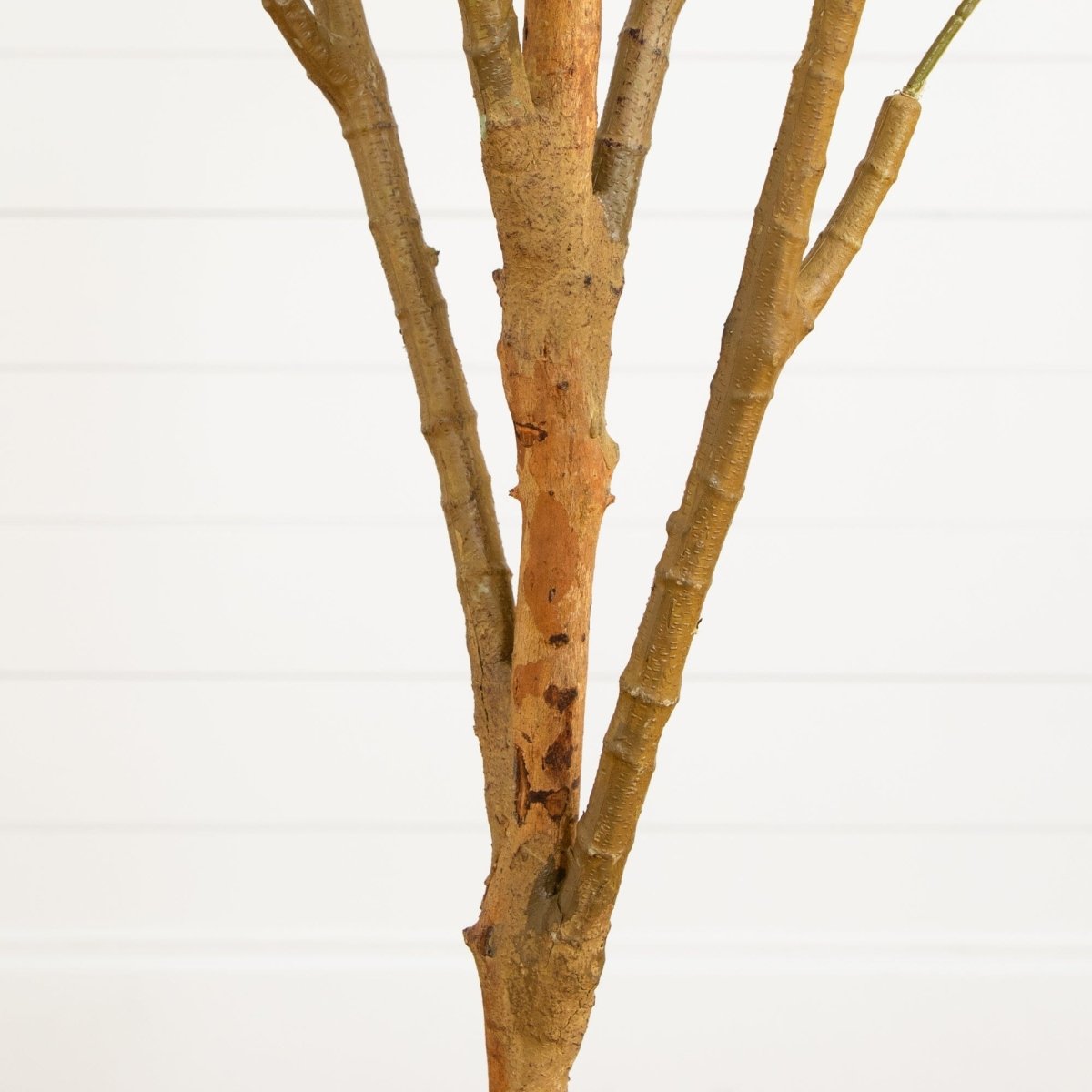  7-ft Artificial Olive Tree With Natural Trunk