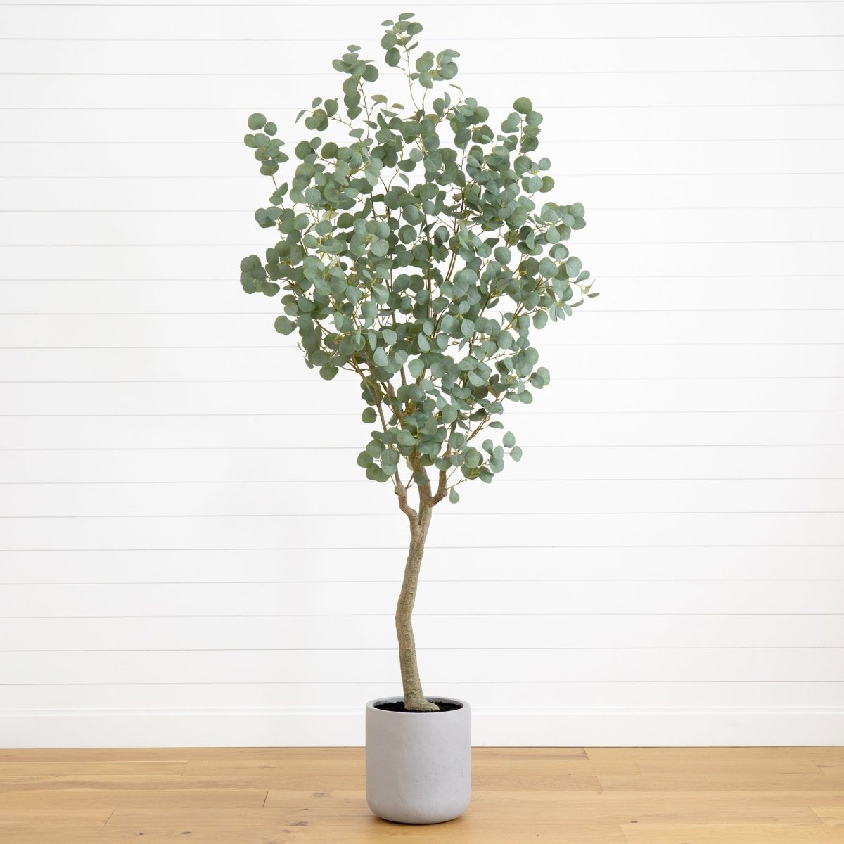  7.5-ft Faux Eucalyptus Tree | Realistic Indoor Greenery – Ed's Plant Shop