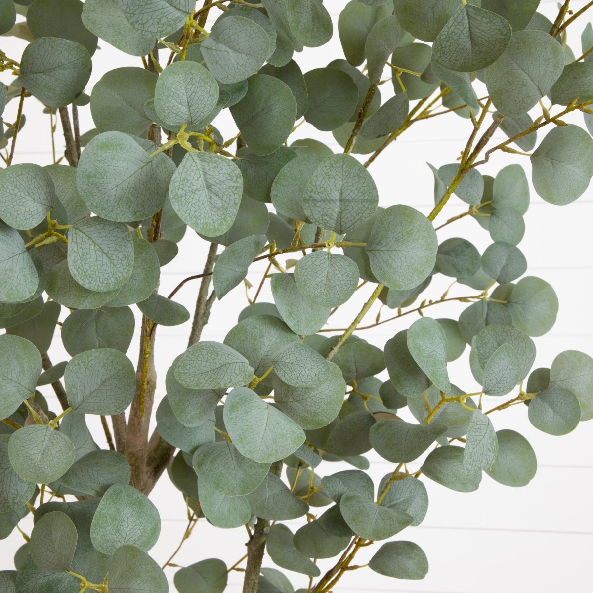 7.5-ft Faux Eucalyptus Tree | Realistic Indoor Greenery – Ed's Plant Shop