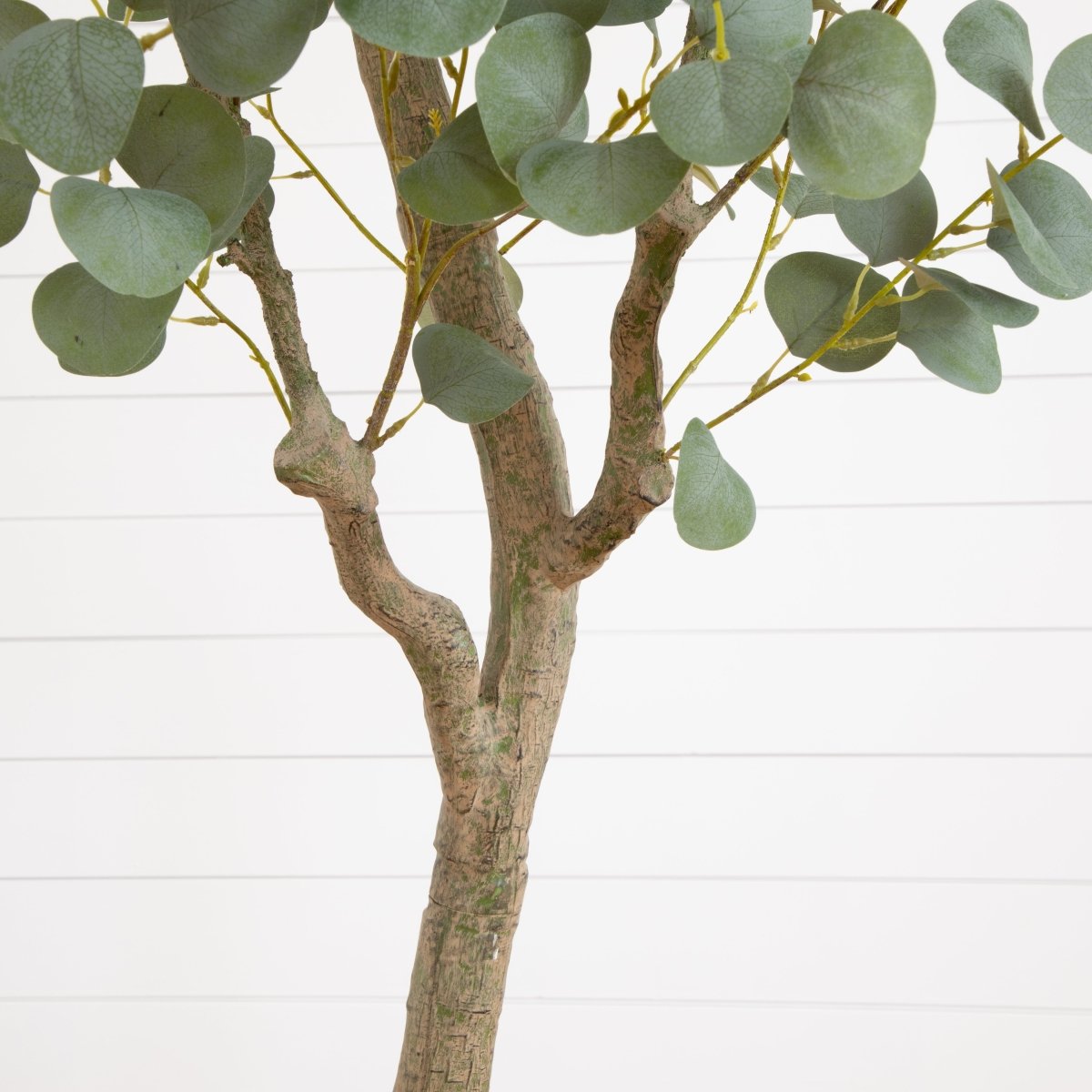  7.5-ft Faux Eucalyptus Tree | Realistic Indoor Greenery – Ed's Plant Shop