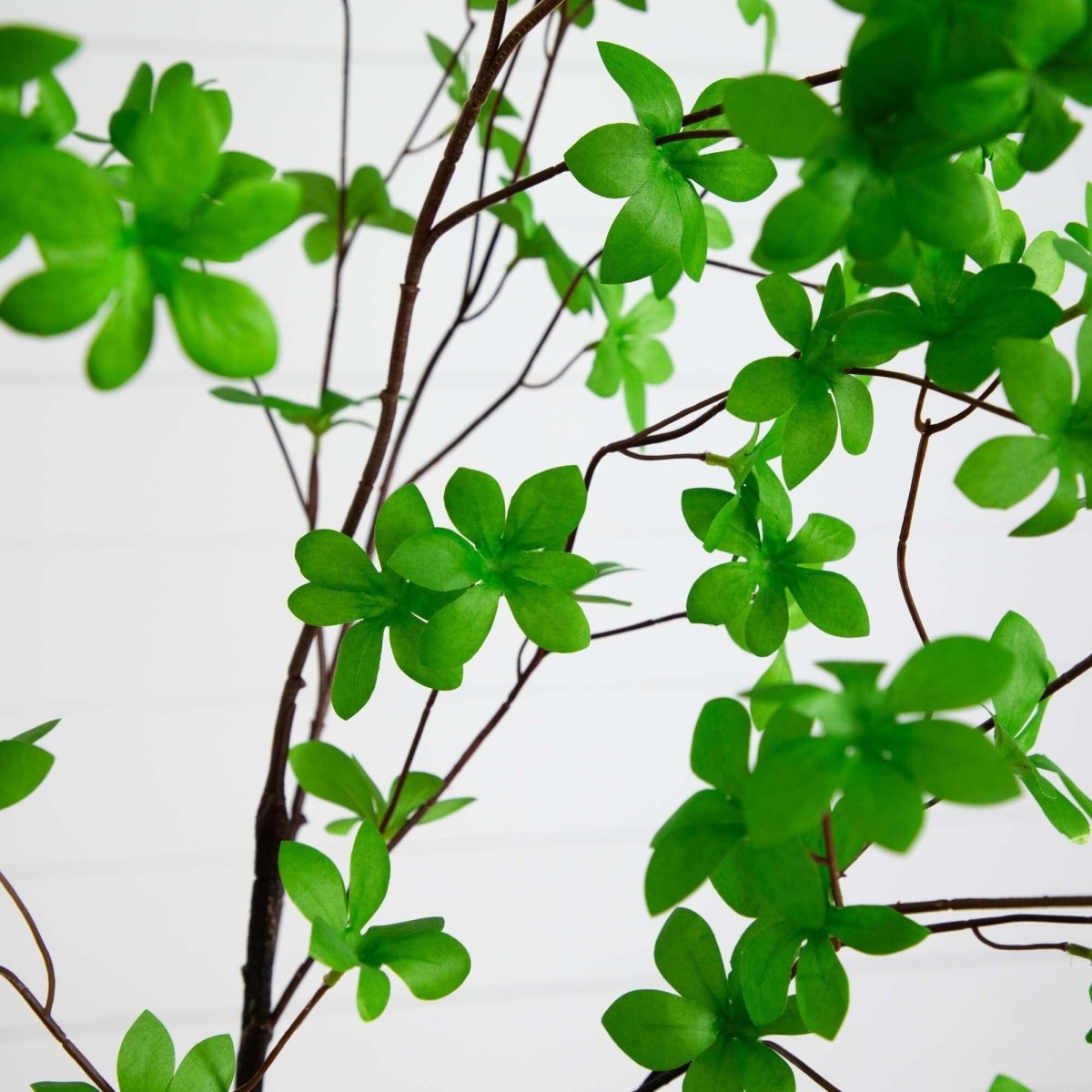  8-ft Artificial Minimalist Enkianthus Tree