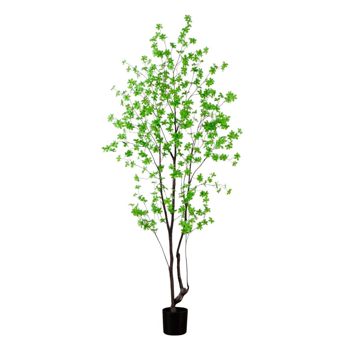  8-ft Artificial Minimalist Enkianthus Tree