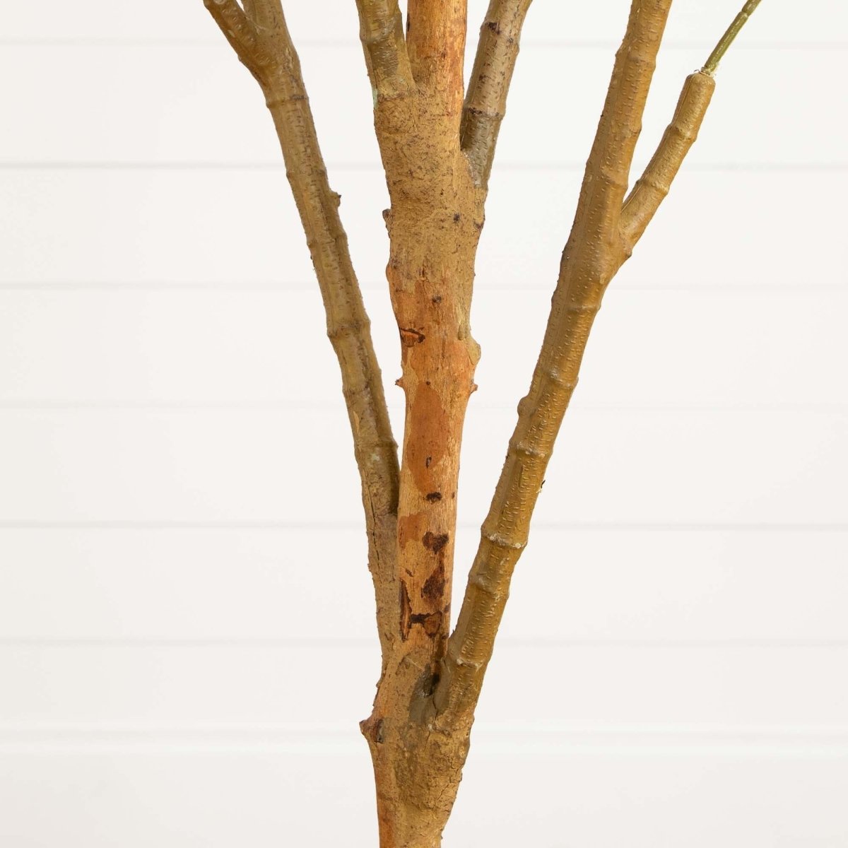 82-in Artificial Olive Tree – Tall, Rustic & Lifelike Décor Accent