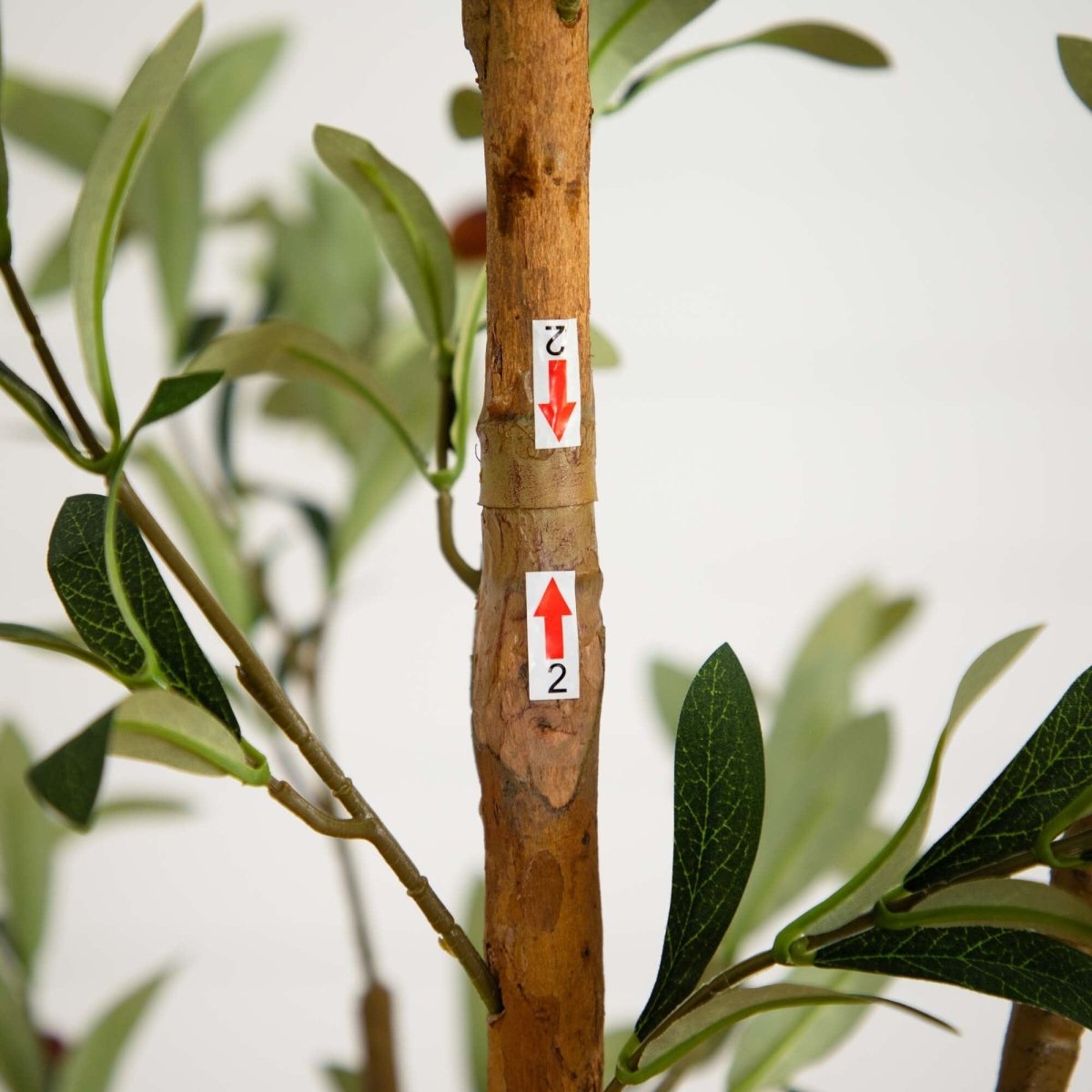  82-in Artificial Olive Tree – Tall, Rustic & Lifelike Décor Accent