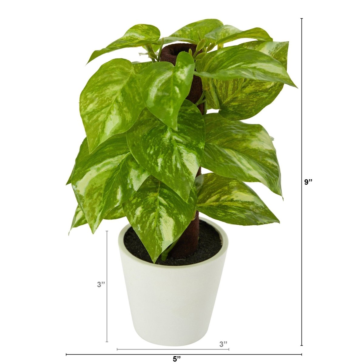  9-in Artificial Pothos Plant In White Planter (Real Touch)