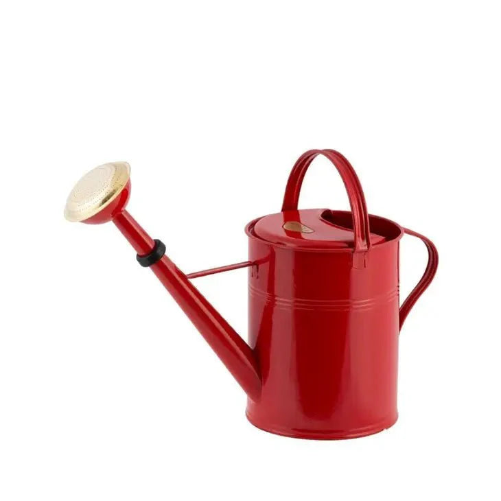  9 Liter- PLINT Watering Can With Removable Sprinkler Head