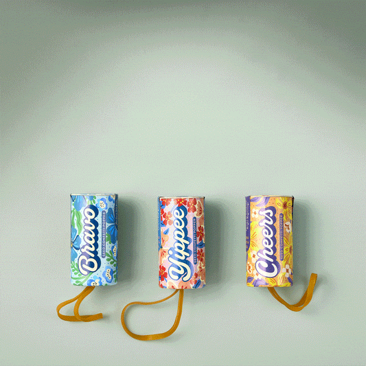 Seed Confetti Popper – Eco-Friendly Party Favors That Grow Wildflowers!