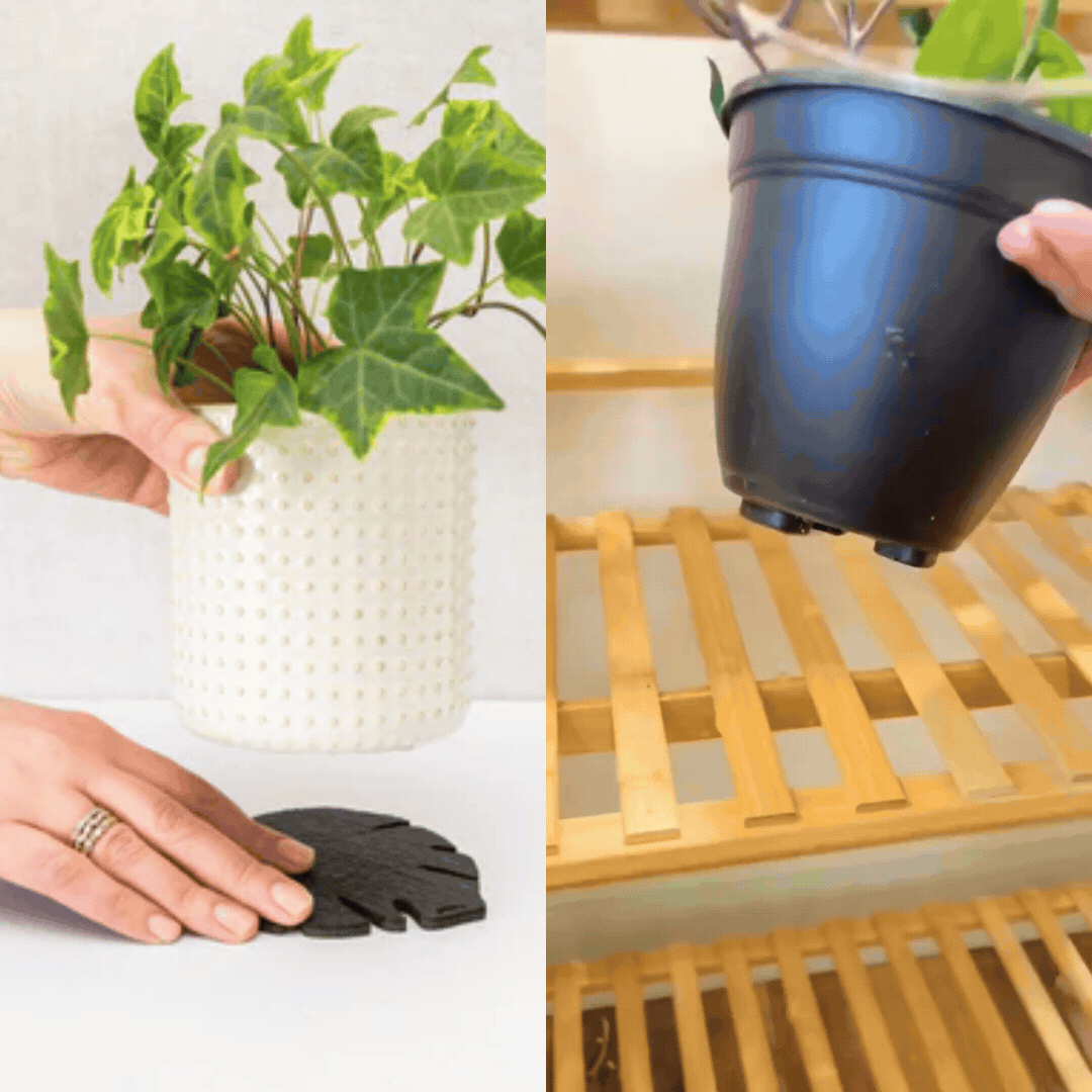  Kostr™ Double‑Sided Leaf‑Shaped Plant Coasters | Eco‑Friendly Home Decor