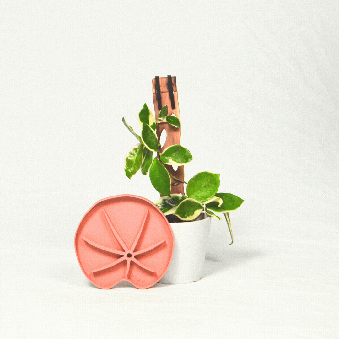  Lili Saucer – Stylish Lily Pad Plant Saucer For Drainage, Root Rot Prevention & Humidity
