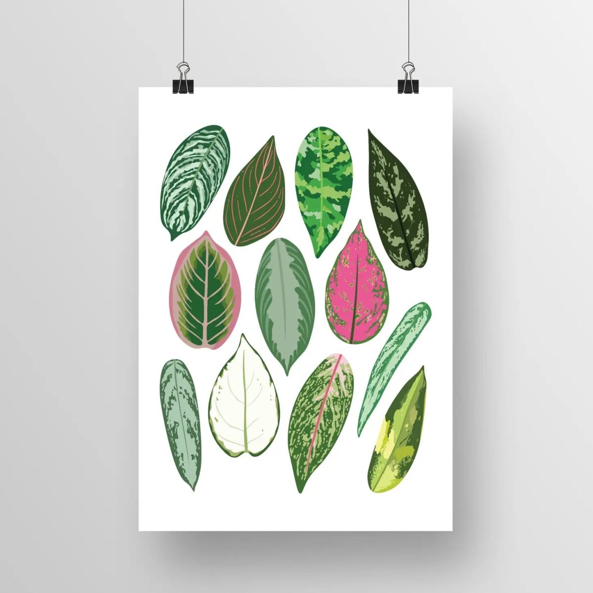  Aglaonema Species ID Chart - Botanical Houseplant Art Print
