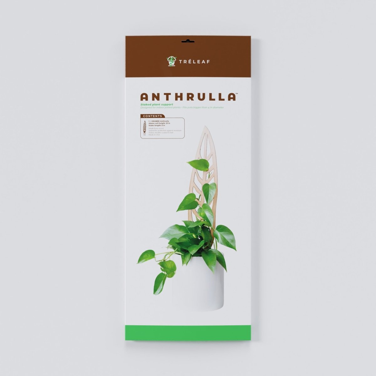  Anthrulla - Anthurium Inspired Plant Trellis