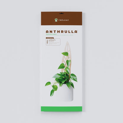  Anthrulla - Anthurium Inspired Plant Trellis