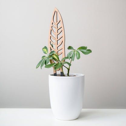  Anthrulla - Anthurium Inspired Plant Trellis