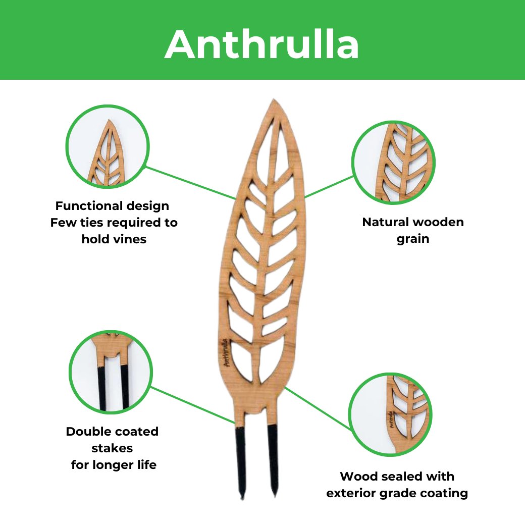  Anthrulla - Anthurium Inspired Plant Trellis