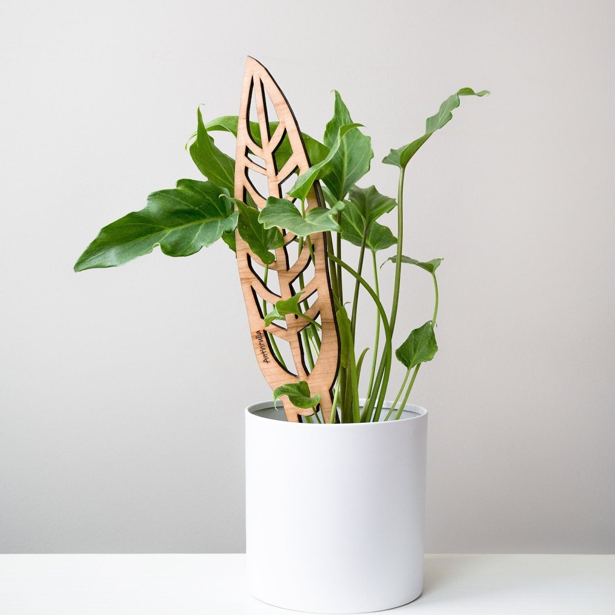  Anthrulla - Anthurium Inspired Plant Trellis
