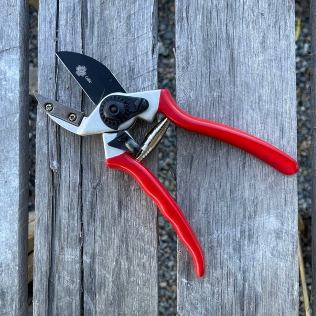  Anvil Pruner - Quality Anvil + Blade Shears