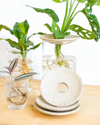  Aquaculture & Germination Plate
