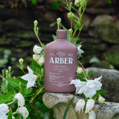  Arber Bio Fungicide – 8oz Concentrate