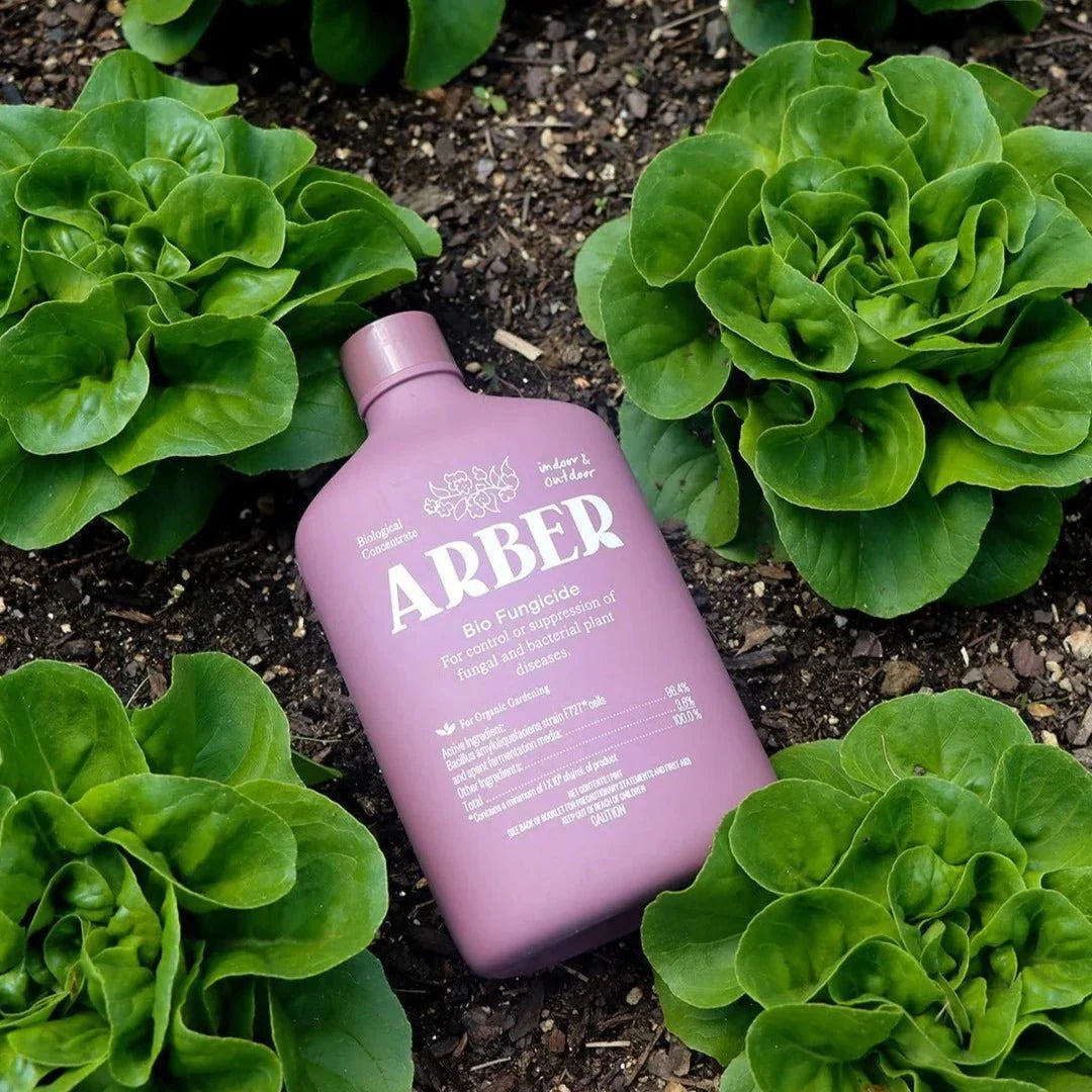  Arber Bio Fungicide – 8oz Concentrate