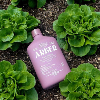  Arber Bio Fungicide – 8oz Concentrate