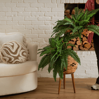  40″ Artificial Boston Fern (Set Of 2)