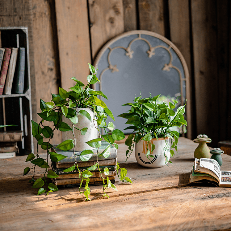  Artificial Devil's Ivy Plant In White Pot
