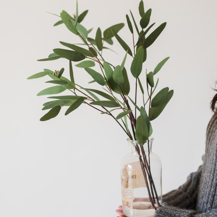  Artificial Faux Eucalyptus Leaf In Various Shapes