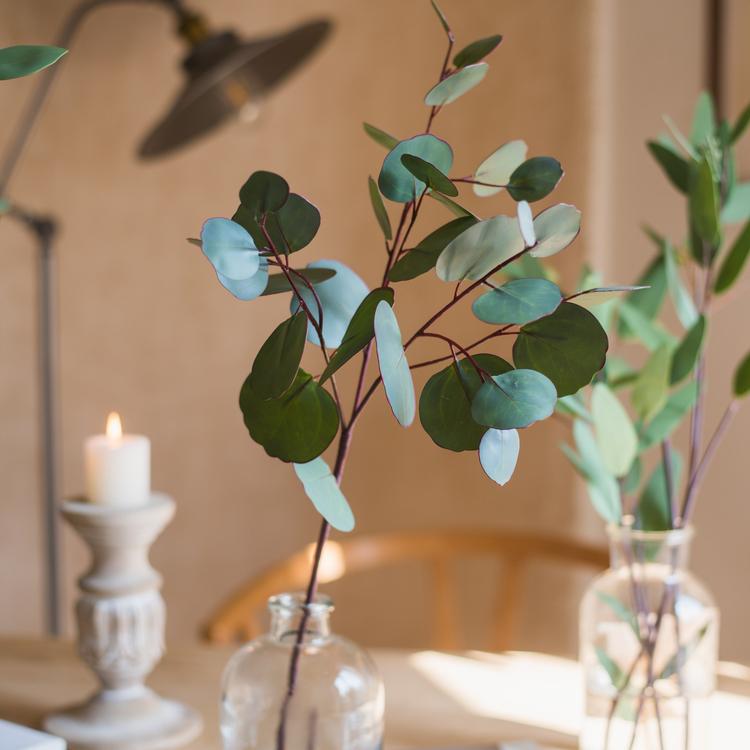  Artificial Faux Eucalyptus Leaf In Various Shapes