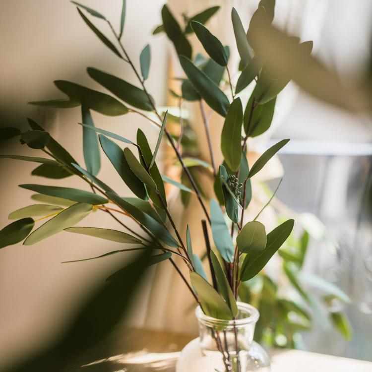  Artificial Faux Eucalyptus Leaf In Various Shapes