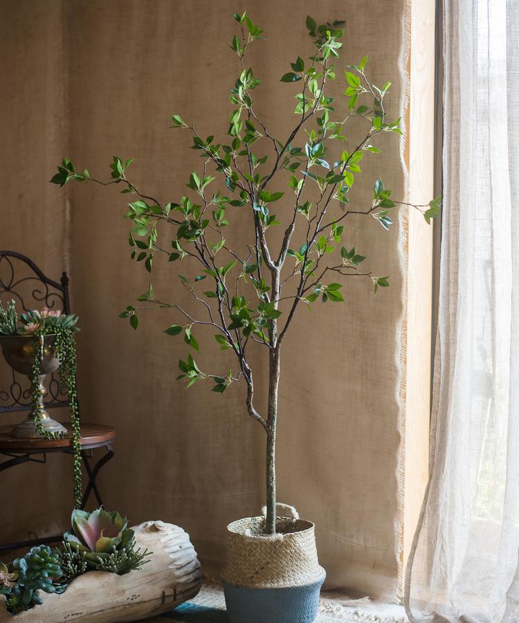  Green Leaf Faux Tree In Pot – 5′ & 6′ Handmade Silk Plant