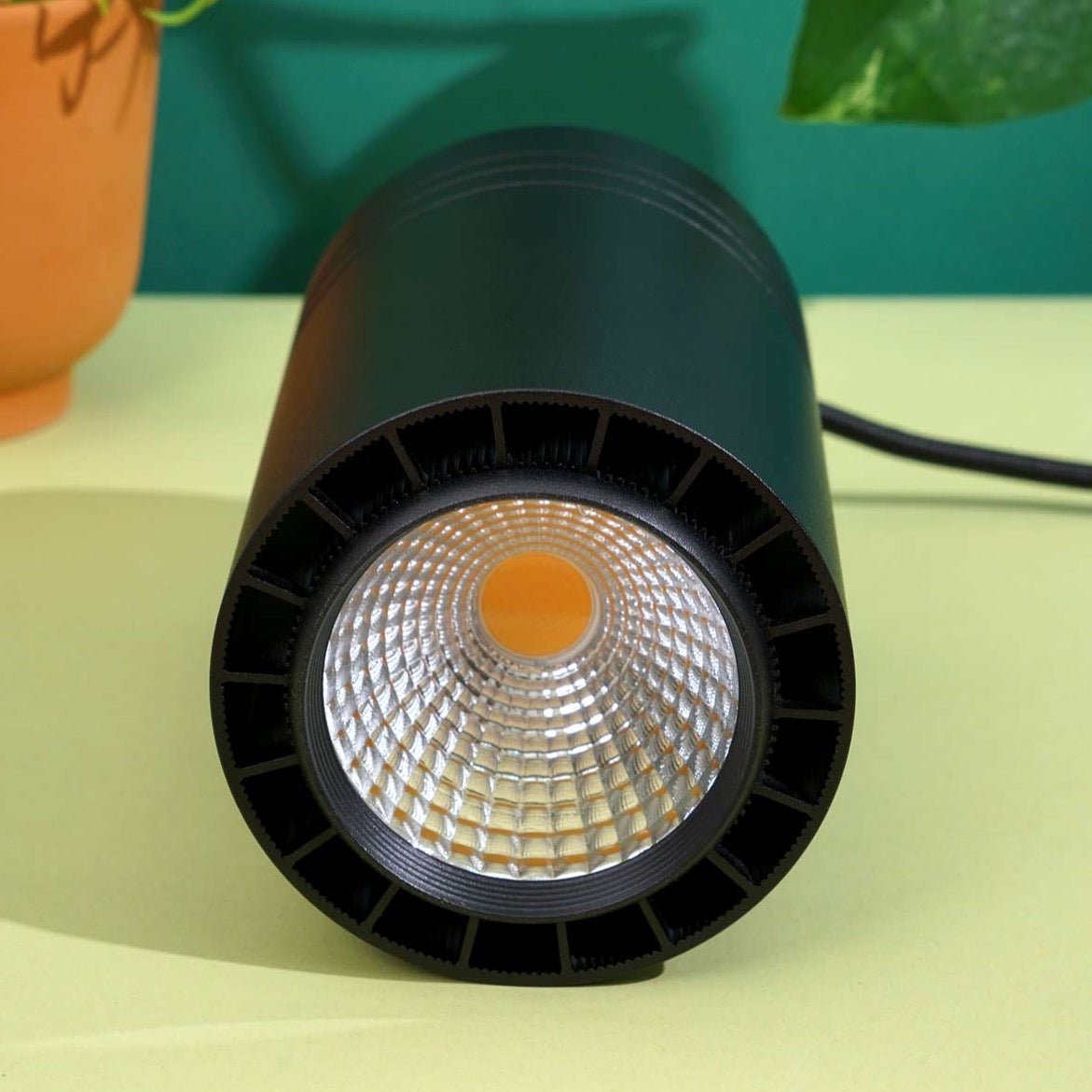  Aspect Growlight | Pendant Style LED Indoor Plant Light