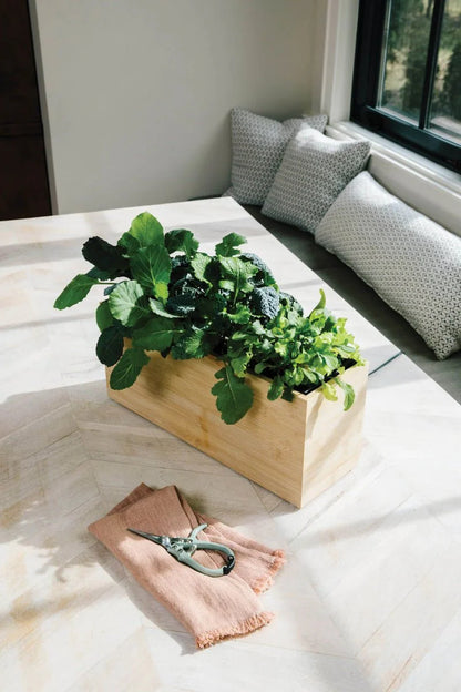  Bamboo Smart Hydroplanter