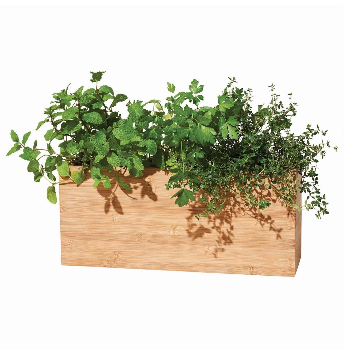  Bamboo Smart Hydroplanter