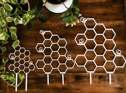  Beehive Houseplant Trellis